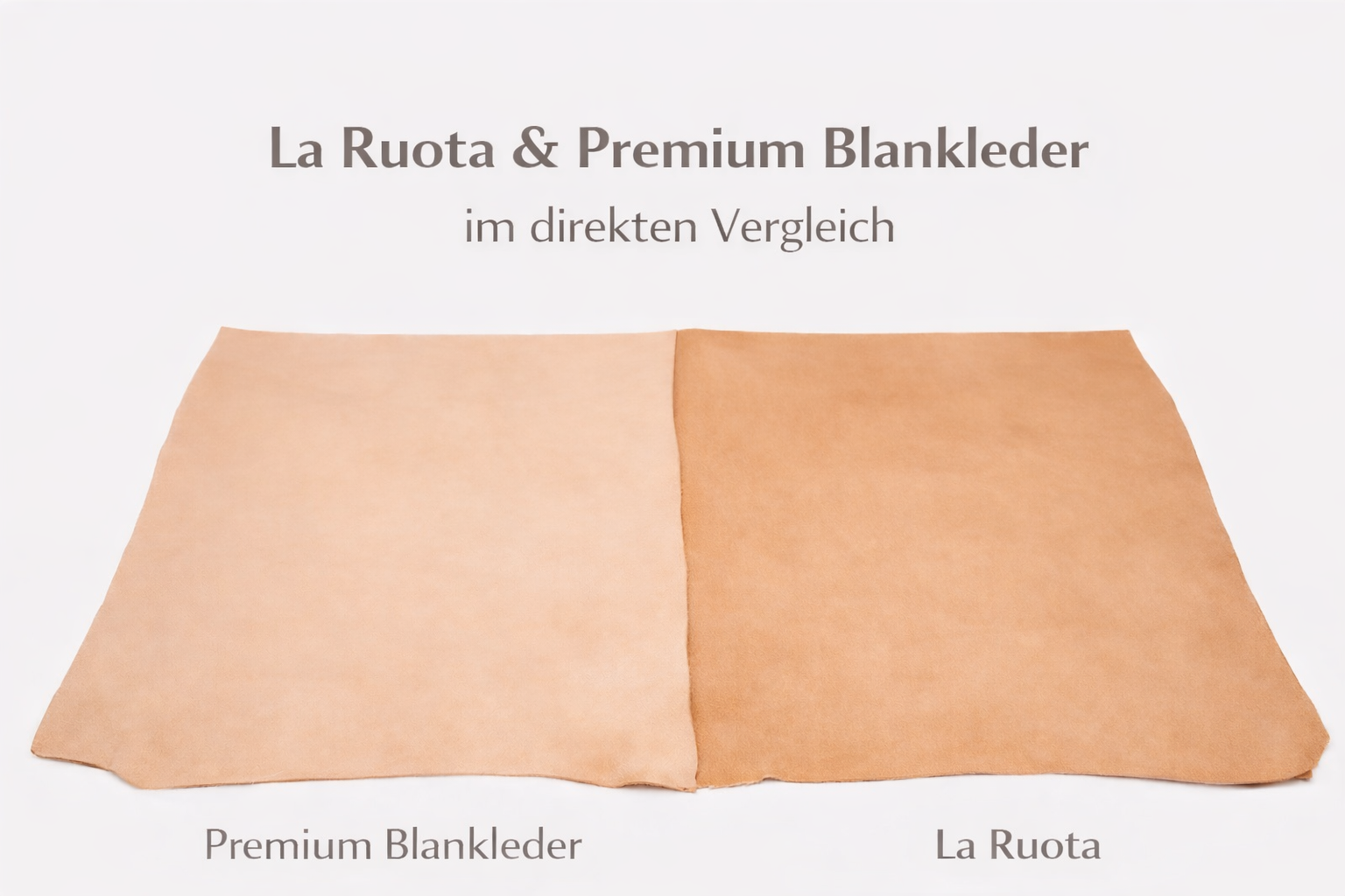 La Ruota und Premium Blankleder im direkten Vergleich auf einen Blick