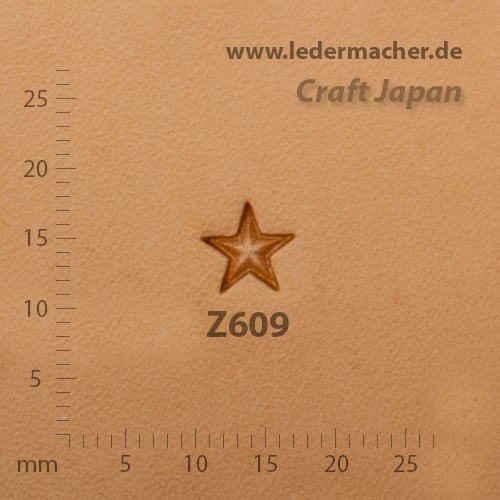 Craft Japan Punziereisen Z609