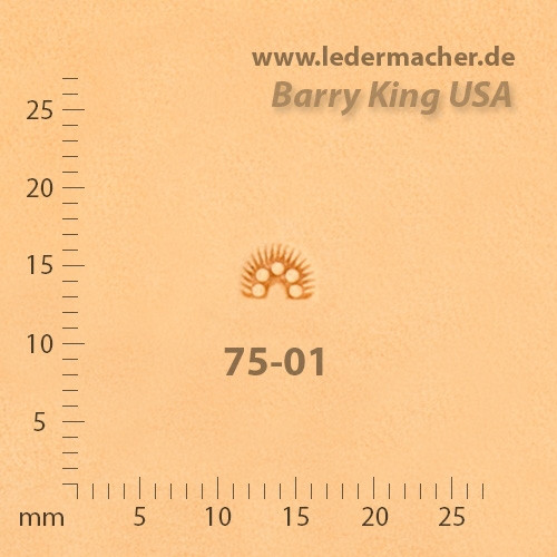 Barry King USA - Border 5 Seed - Size 1