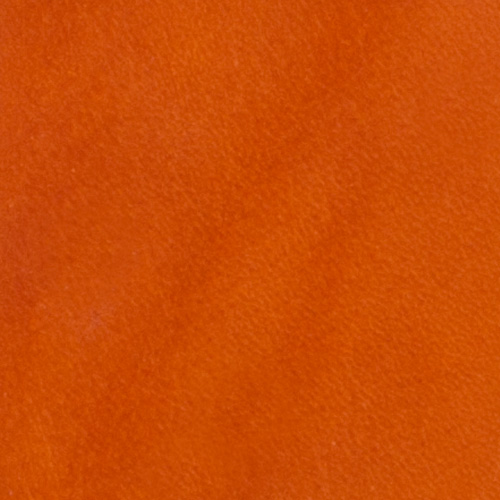 englishbridle